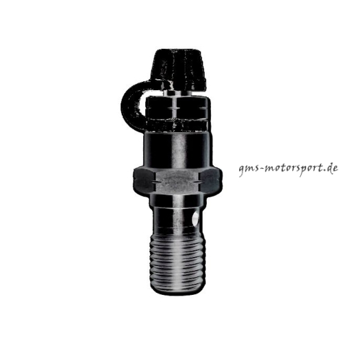 HEL Vite cava di sfiato in acciaio inox M10x1,00 -METAL Nero